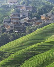 Longsheng